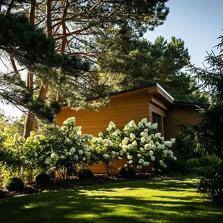 帕兰加假日别墅度假屋 * 帕兰加