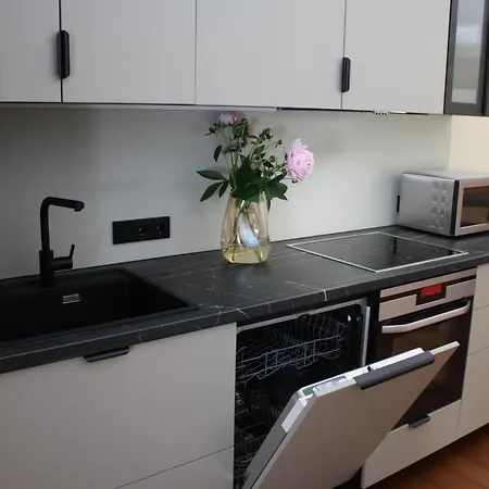 帕兰加假日别墅度假屋 * 帕兰加