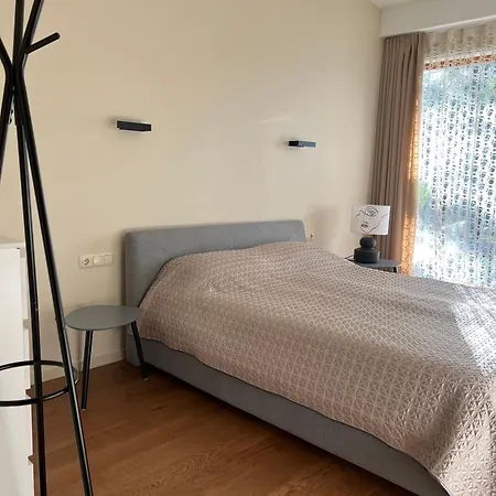 Holiday Villa Palanga