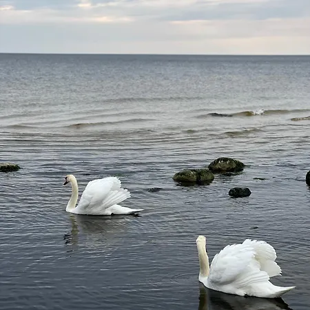 帕兰加假日别墅度假屋 帕兰加