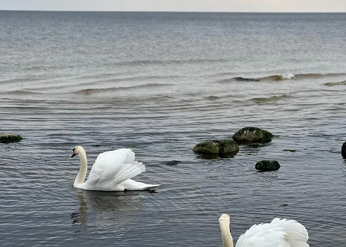 Holiday Villa Palanga Паланга